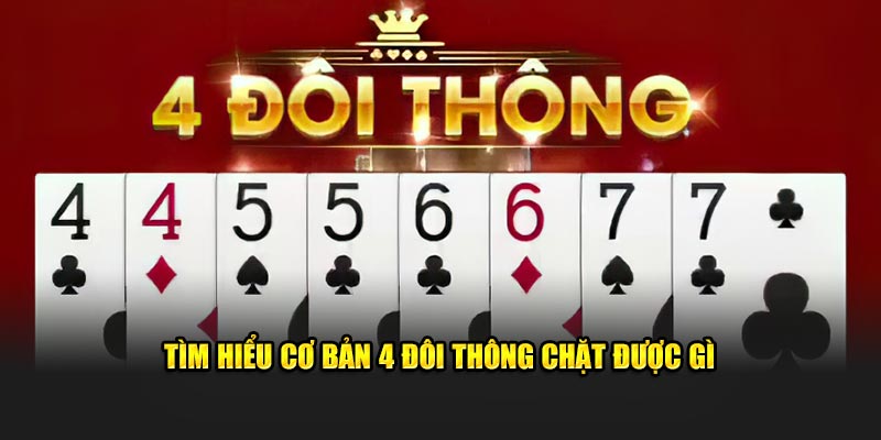 Khái niệm chi tiết 4 đôi thông