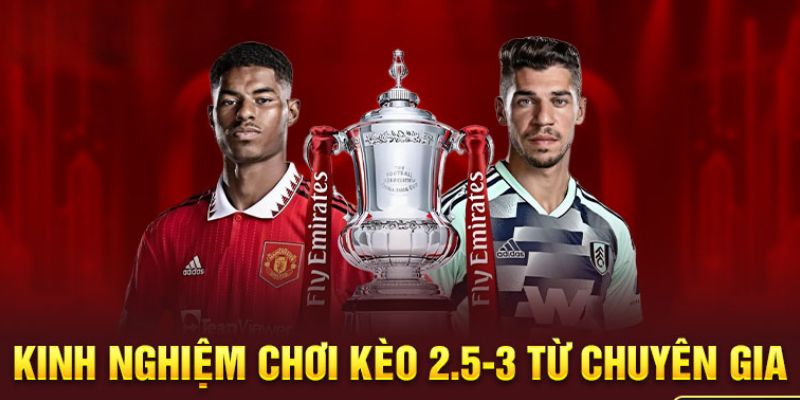 Luôn phải chú ý sự biến động kèo 2.5/3