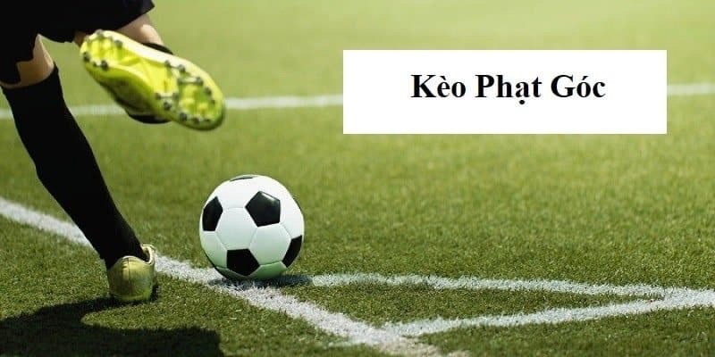 Cách cược kèo phạt góc hiệu quả cao