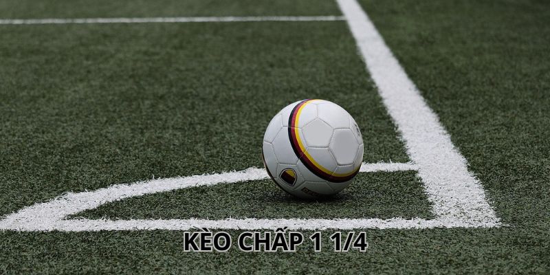3 trường hợp tính tiền kèo 1 1/4