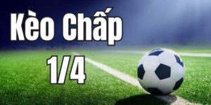 Tìm hiểu chi tiết về kèo 1/4