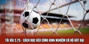 Tìm hiểu khái niệm kèo Tài Xỉu 2.75