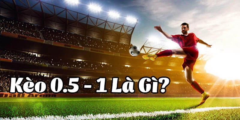Khái niệm chi tiết kèo 0.5/1