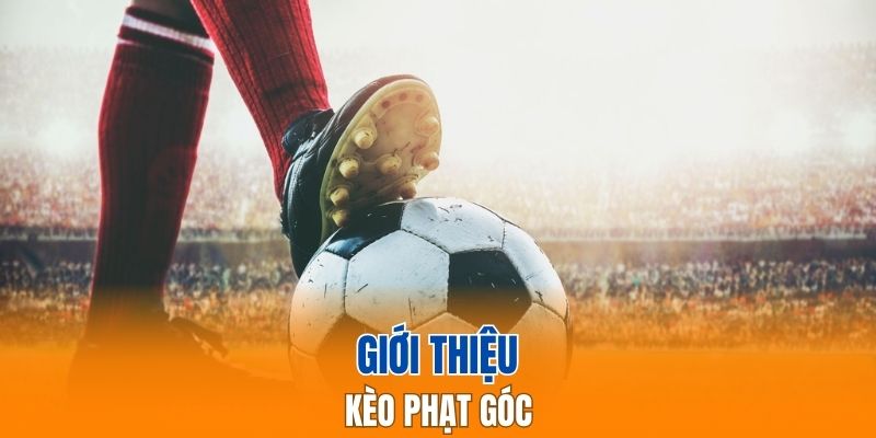 Kèo phạt góc có nhiều biến thể đa dạng