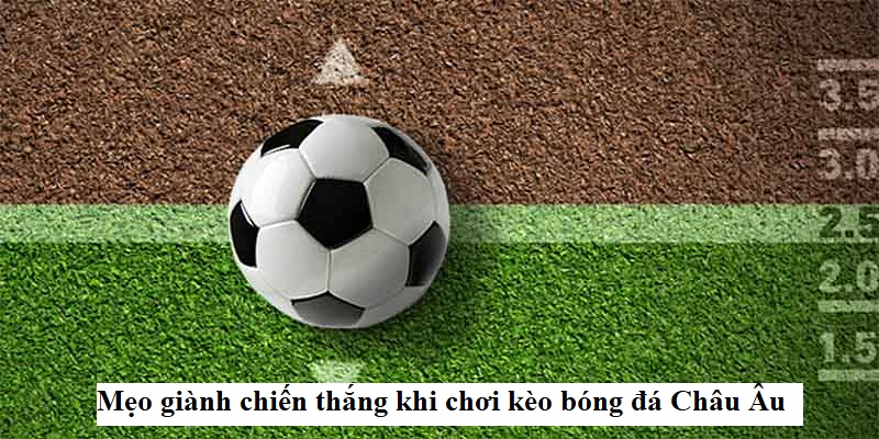 Bật mí mẹo cá cược kèo Châu Âu