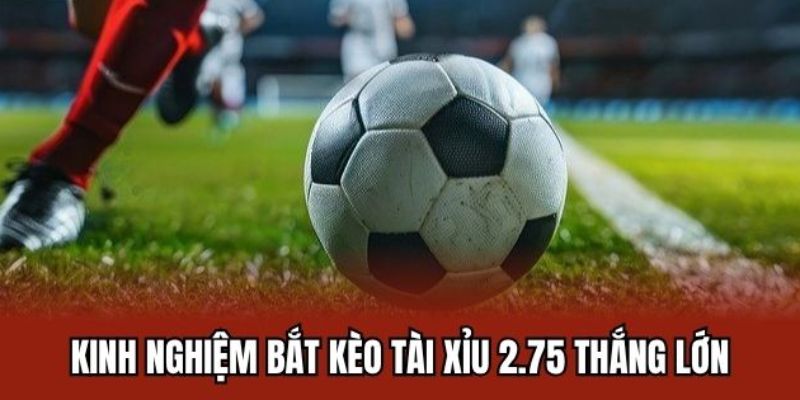 Mẹo soi kèo Tài Xỉu 2.75 chắc thắng